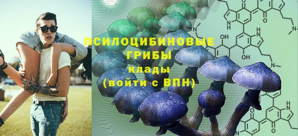 дживик Арсеньев