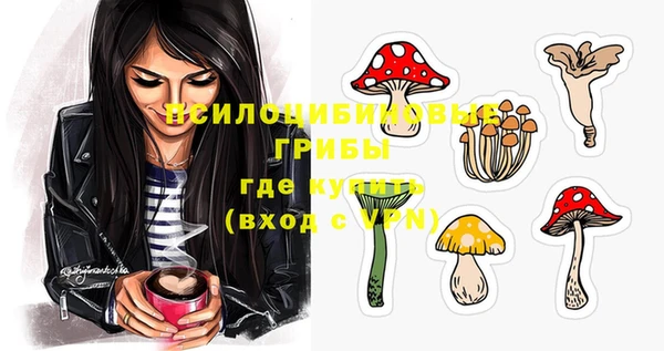 гидропоника Армянск