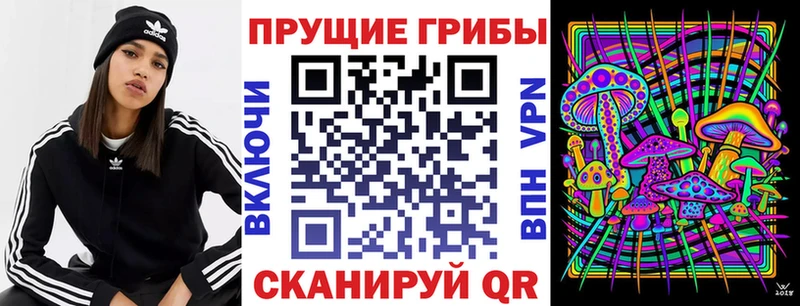 сайты даркнета телеграм Сибай Псилоцибиновые грибы Psilocybine cubensis